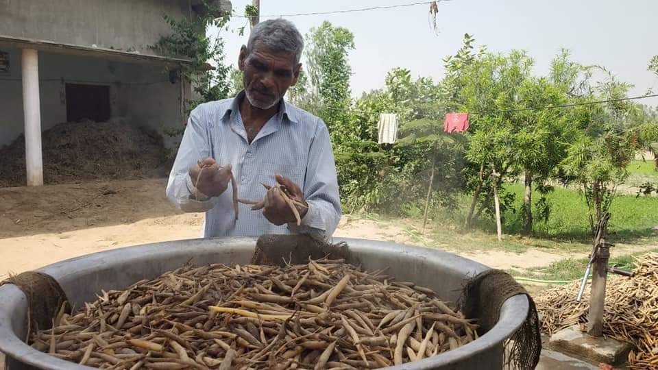 65 वर्ष की उम्र में शुरू की औषधीय खेती; लाखों में है अब मुनाफ़ा! - The  Better India - Hindi