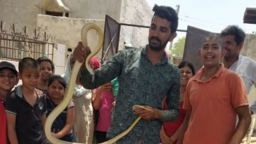 sonudalal